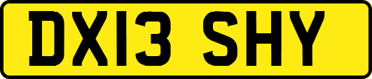 DX13SHY