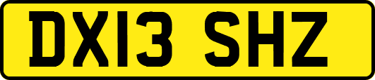DX13SHZ