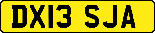 DX13SJA