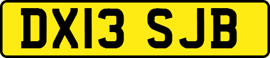 DX13SJB