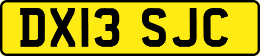 DX13SJC