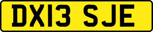 DX13SJE
