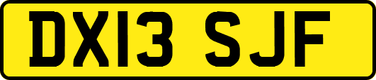 DX13SJF