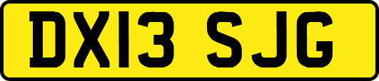 DX13SJG