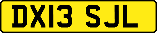DX13SJL