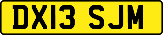 DX13SJM