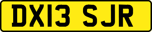 DX13SJR
