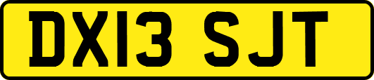 DX13SJT