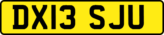 DX13SJU
