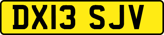 DX13SJV