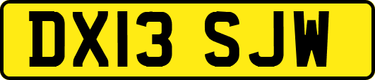 DX13SJW