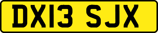 DX13SJX