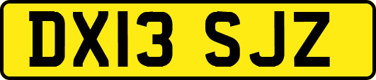 DX13SJZ