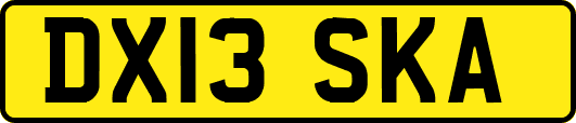 DX13SKA