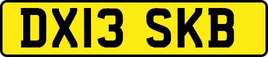DX13SKB