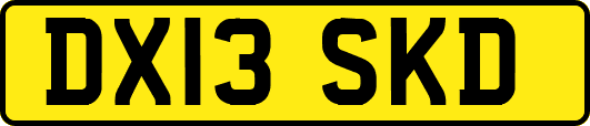 DX13SKD