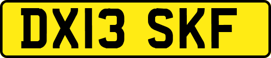 DX13SKF