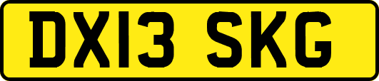 DX13SKG