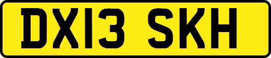 DX13SKH