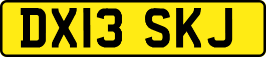 DX13SKJ