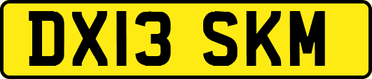 DX13SKM
