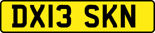 DX13SKN