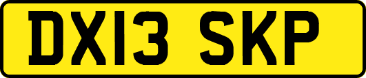 DX13SKP