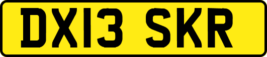DX13SKR