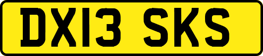 DX13SKS