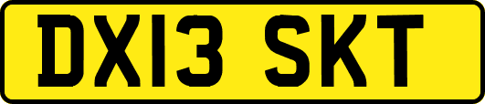 DX13SKT