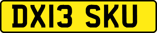 DX13SKU