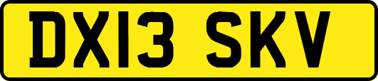 DX13SKV