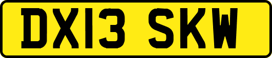 DX13SKW