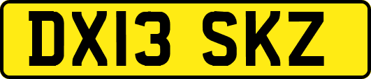 DX13SKZ