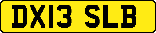 DX13SLB