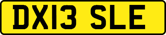 DX13SLE