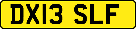 DX13SLF