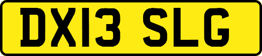 DX13SLG