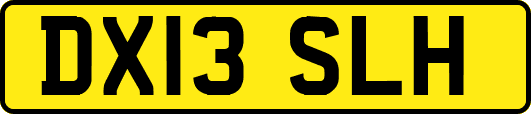 DX13SLH