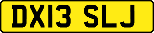 DX13SLJ