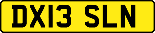 DX13SLN
