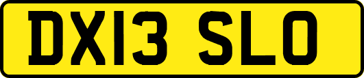 DX13SLO