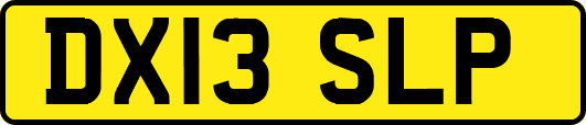 DX13SLP