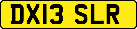 DX13SLR