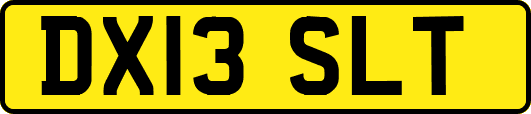DX13SLT