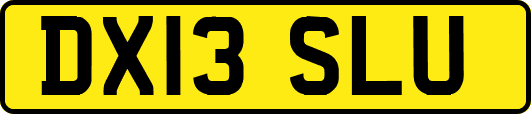 DX13SLU