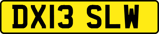 DX13SLW