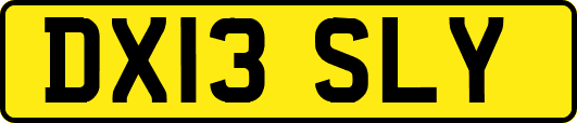 DX13SLY