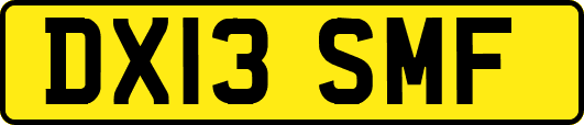 DX13SMF