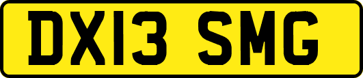 DX13SMG